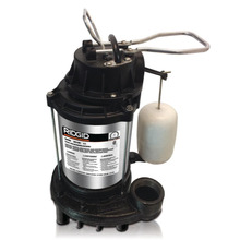 2020-11-04 10_07_04-RIDGID 1 HP Stainless Steel Dual Suction Sump Pump-1000RSDS - The Home Depot.png